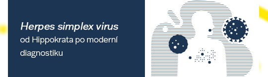 Herpes simplex virus – od Hippokrata po moderní diagnostiku